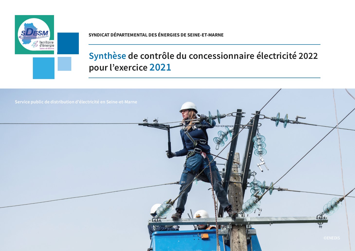 Synthèse de contrôle du concessionnaire électricité 2022 pour l’exercice 2021